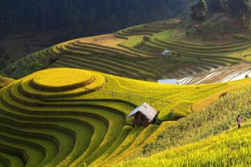 Du lịch hà giang