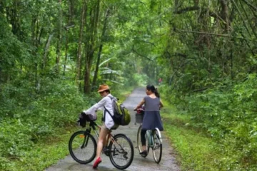 Khu du lịch nam cát tiên