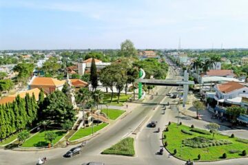 Củ chii