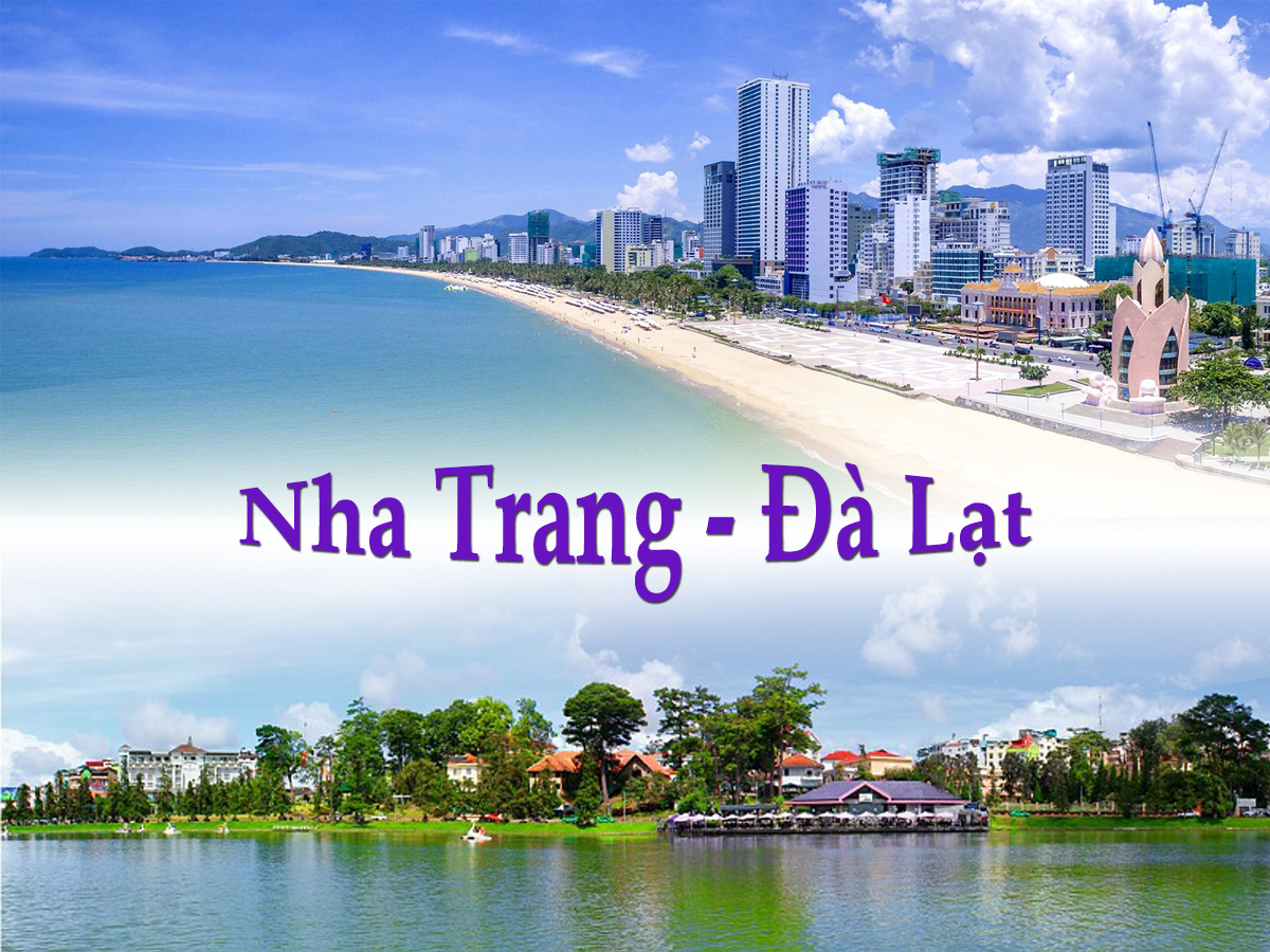 Công Ty TNHH Du Lịch Tương Lai Việt: Điểm đến lý tưởng cho những ai yêu thích du lịch Nha Trang – Đà Lạt